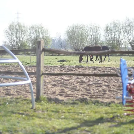 Wilgenwind Sijsele